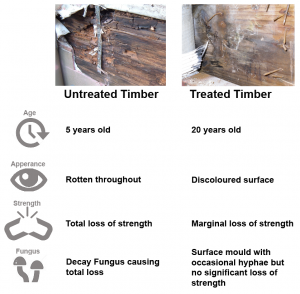 treated and untreated timber